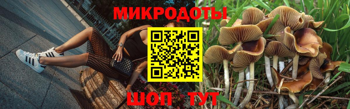 магазин продажи наркотиков  Галлюциногенные грибы GOLDEN TEACHER  Вход с VPN  Ярославль 
