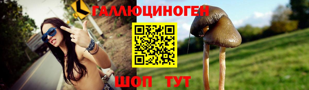 Альфа ПВП Ярославль
